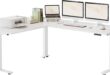 Transforming Our Workspace: A Review of the FEZIBO L-Shaped Desk