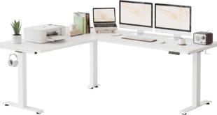 Transforming Our Workspace: A Review of the FEZIBO L-Shaped Desk