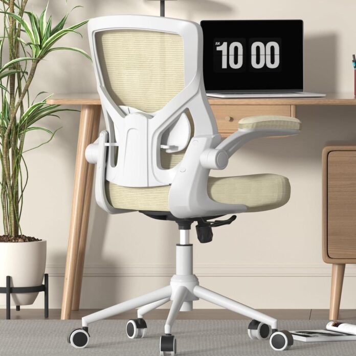 How We Found Comfort and Style in This Ergonomic Office Chair