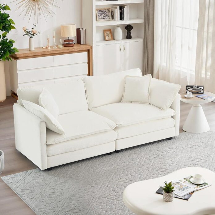 Discovering Comfort and Style: Our Take on the Mikibama Loveseat Sofa