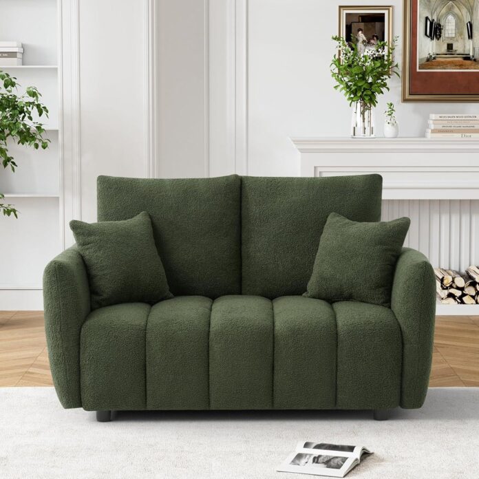 Cozy Meets Chic: Our Take on the Teddy Cloud Sofa Loveseat