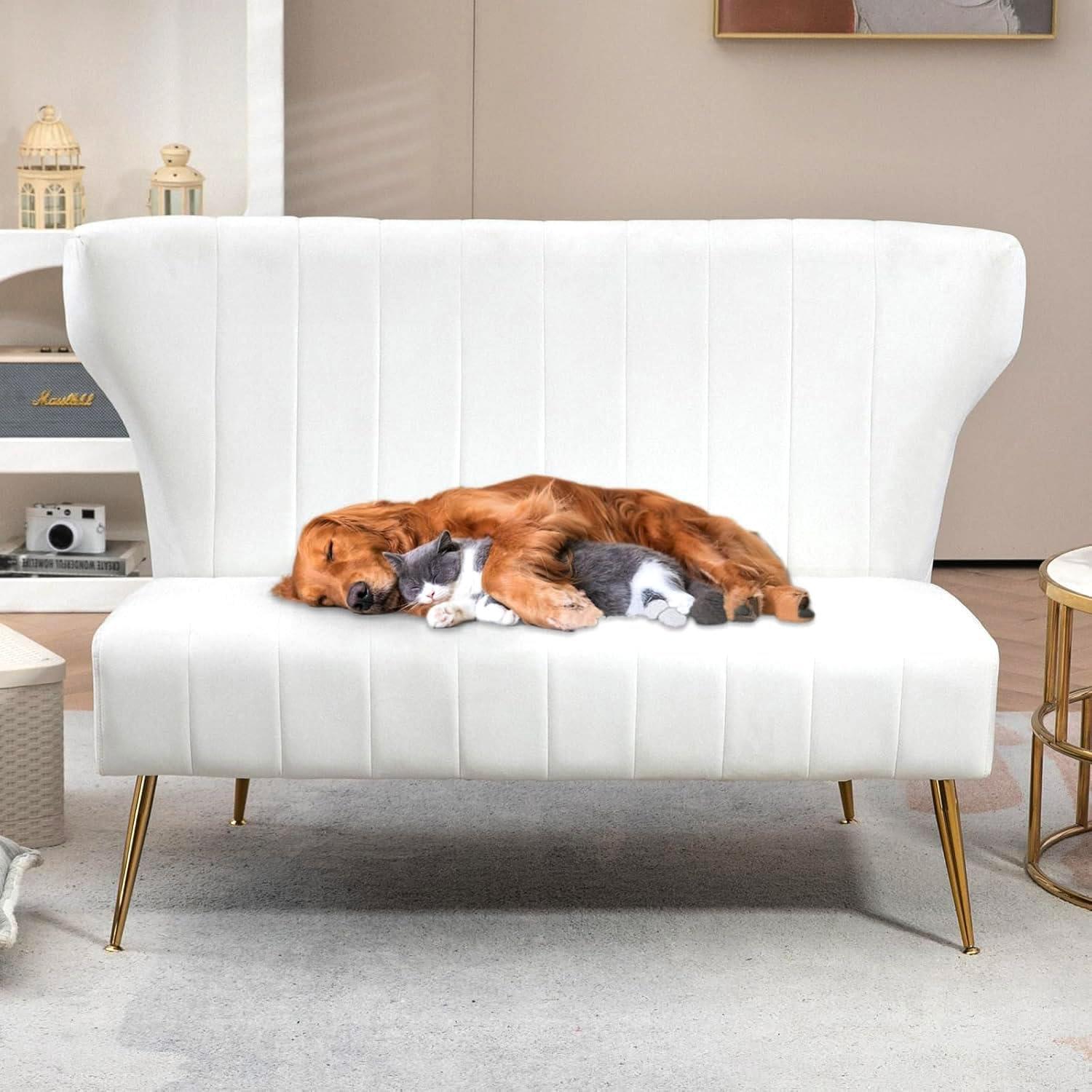 Our Take on the Elegant 50