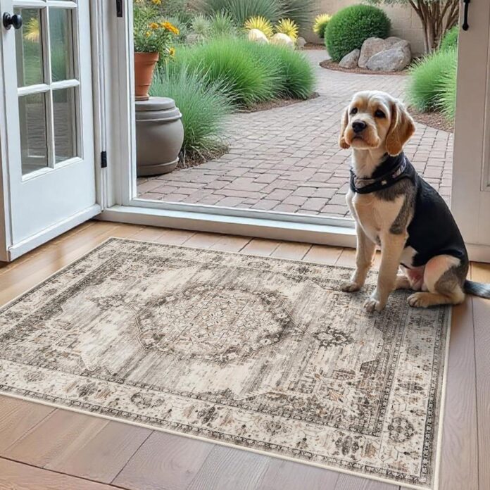 Our Take on the Ultra-Thin, Washable 2×3 Entryway Rug
