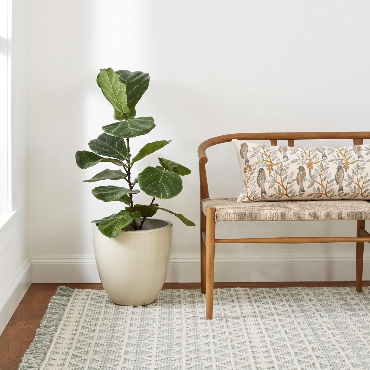 Our⁢ Honest Take on the Dash ⁣& Albert Pembrook Desert ‌Sage Rug