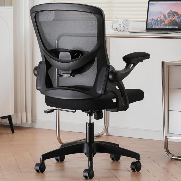 Our Take on the Ergonomic Mesh Office Chair with Lumbar Support