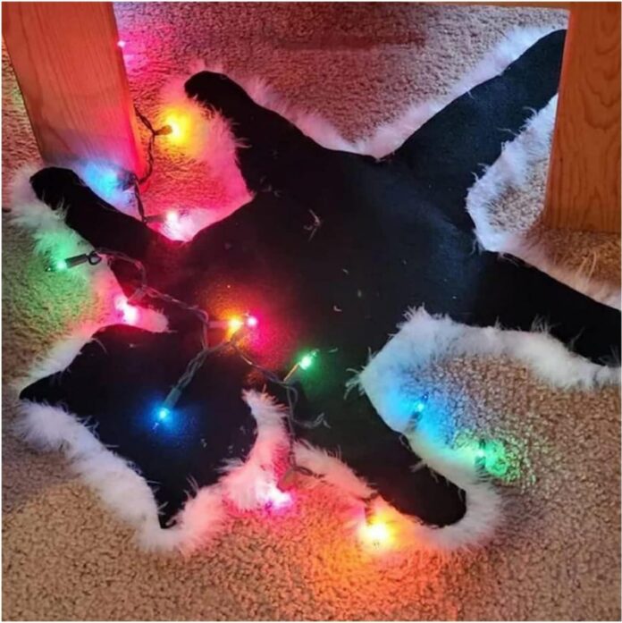 Why We Loved the Quirky Light-Up Fried Cat Christmas Rug
