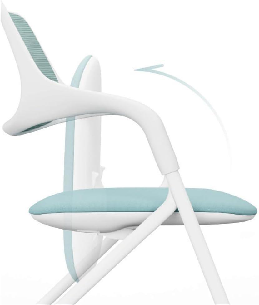 Our Honest Take on the FKLGJFO Folding Office & Conference chair