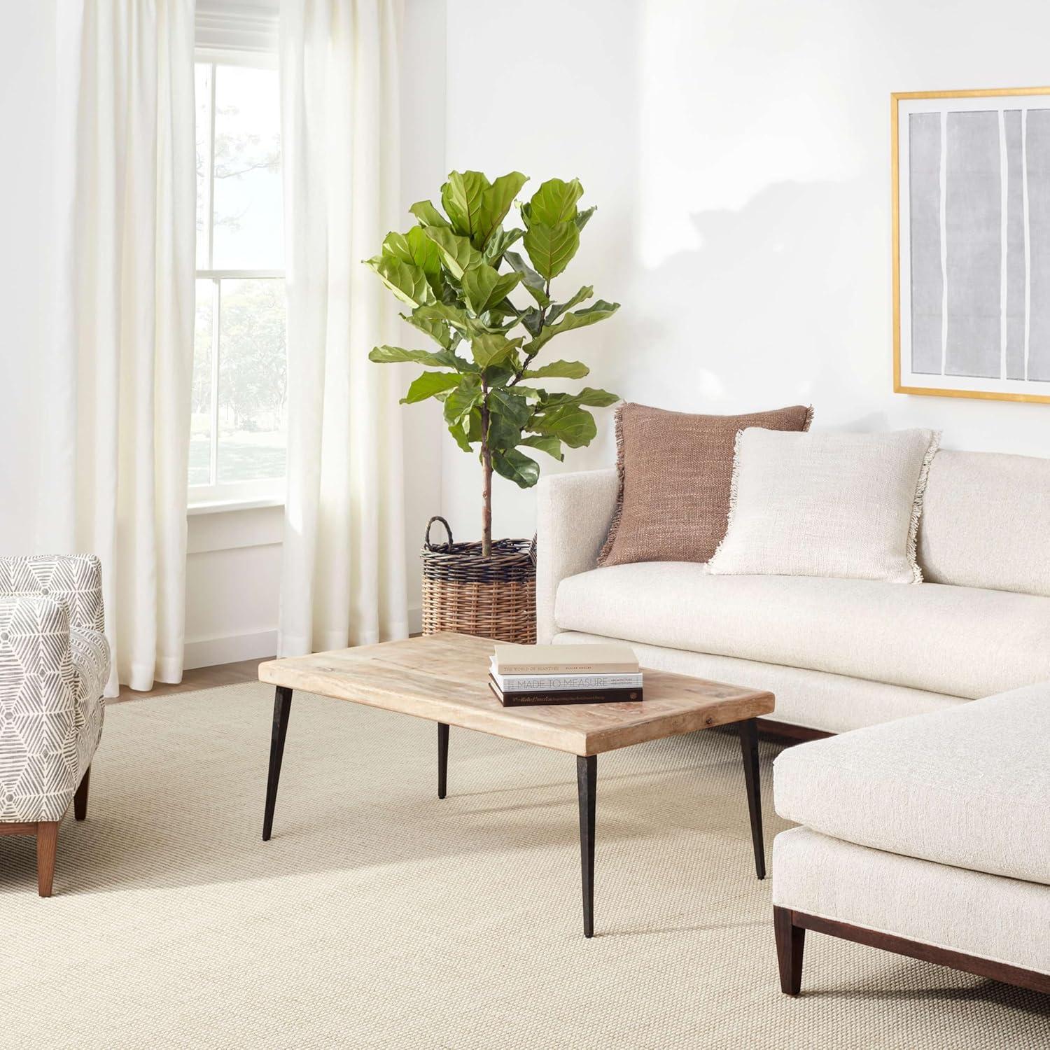 Our Take on the Dash & Albert Pixel Sisal Rug: Durable & Stylish