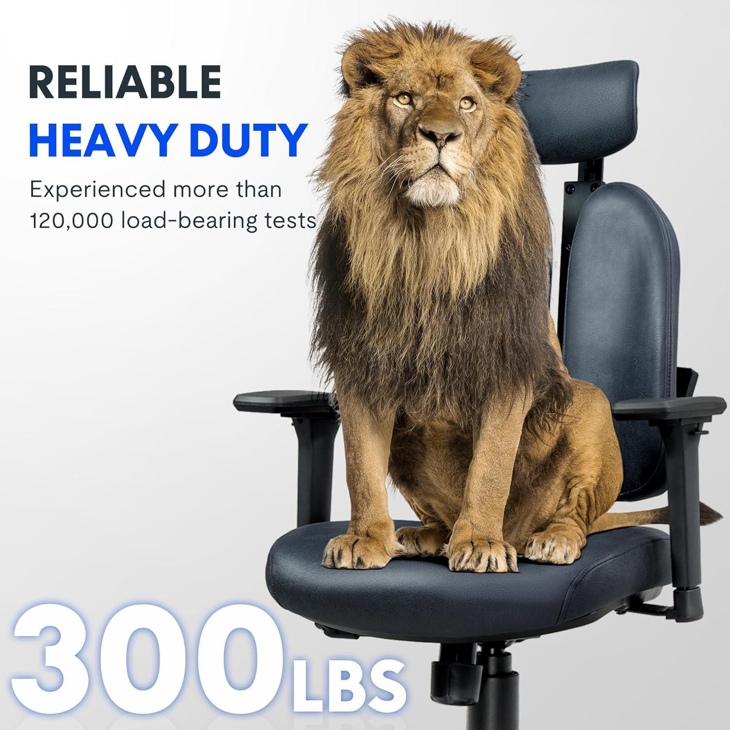 Why we Love FLEXISPOT's Dual back Support Office Chair