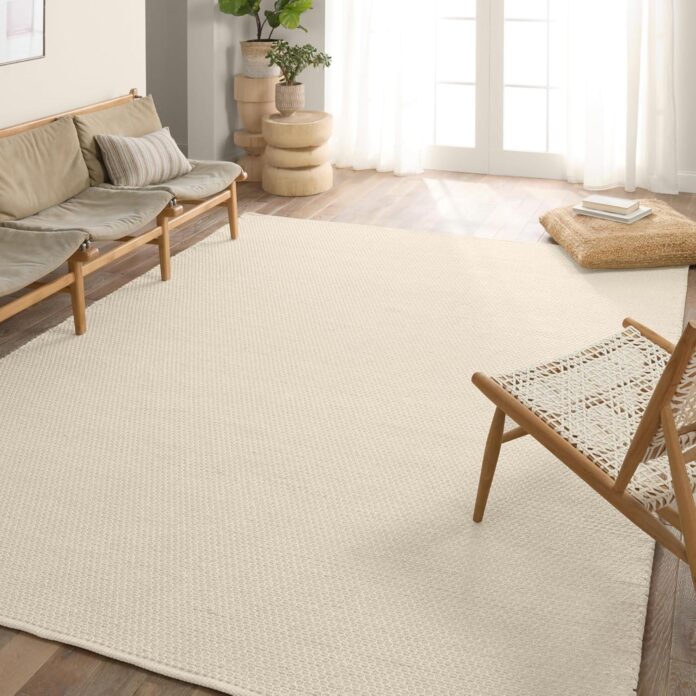 Our Take on the Jaipur Living Envelop Rug: Durable & Naturally Textured