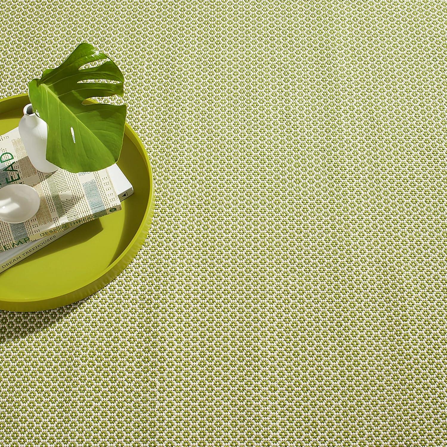 Why We Love the Dash & Albert Finn Sprout Rug for indoors & Out