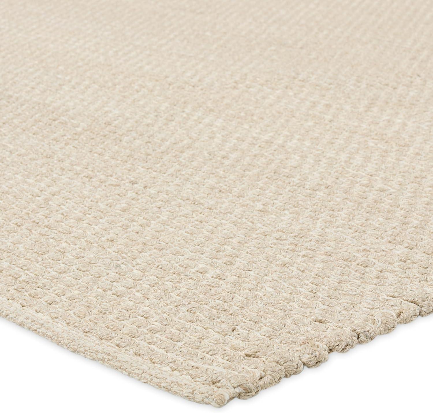 Our Take on the Jaipur Living Envelop Rug: Durable & Naturally Textured