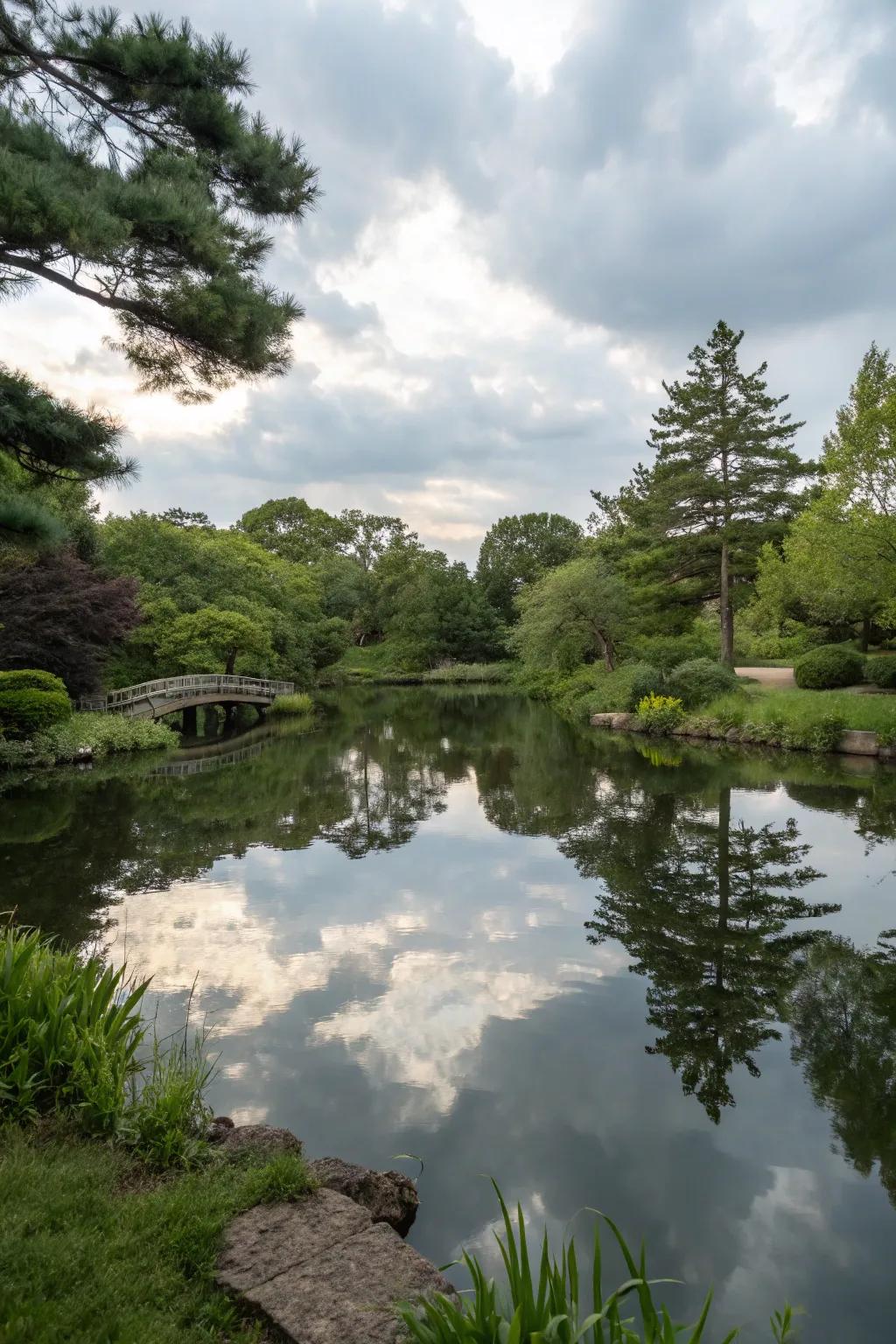 Still water mirrors create tranquil reflections.