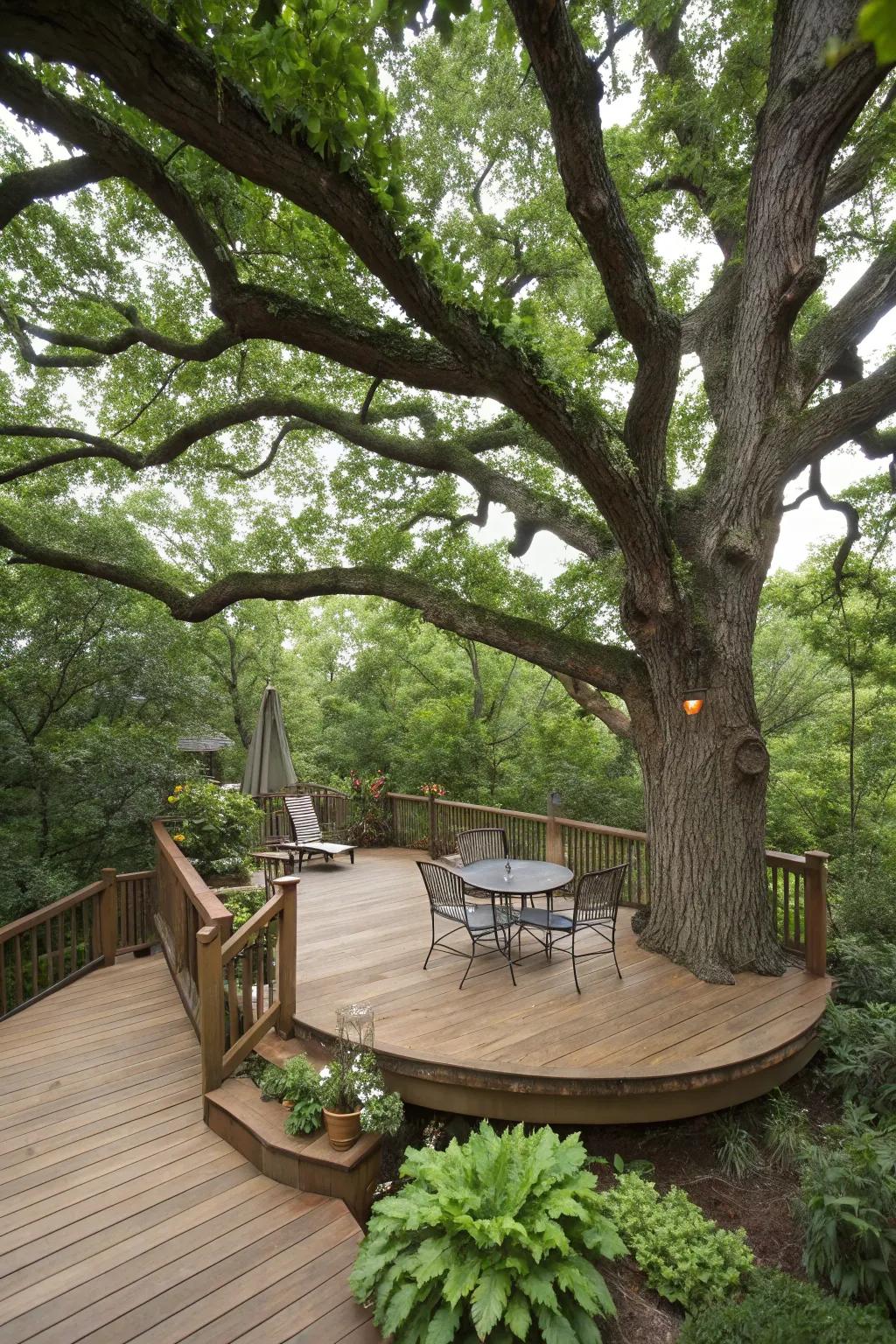 A deck or patio encircling a tree blends nature with living space.