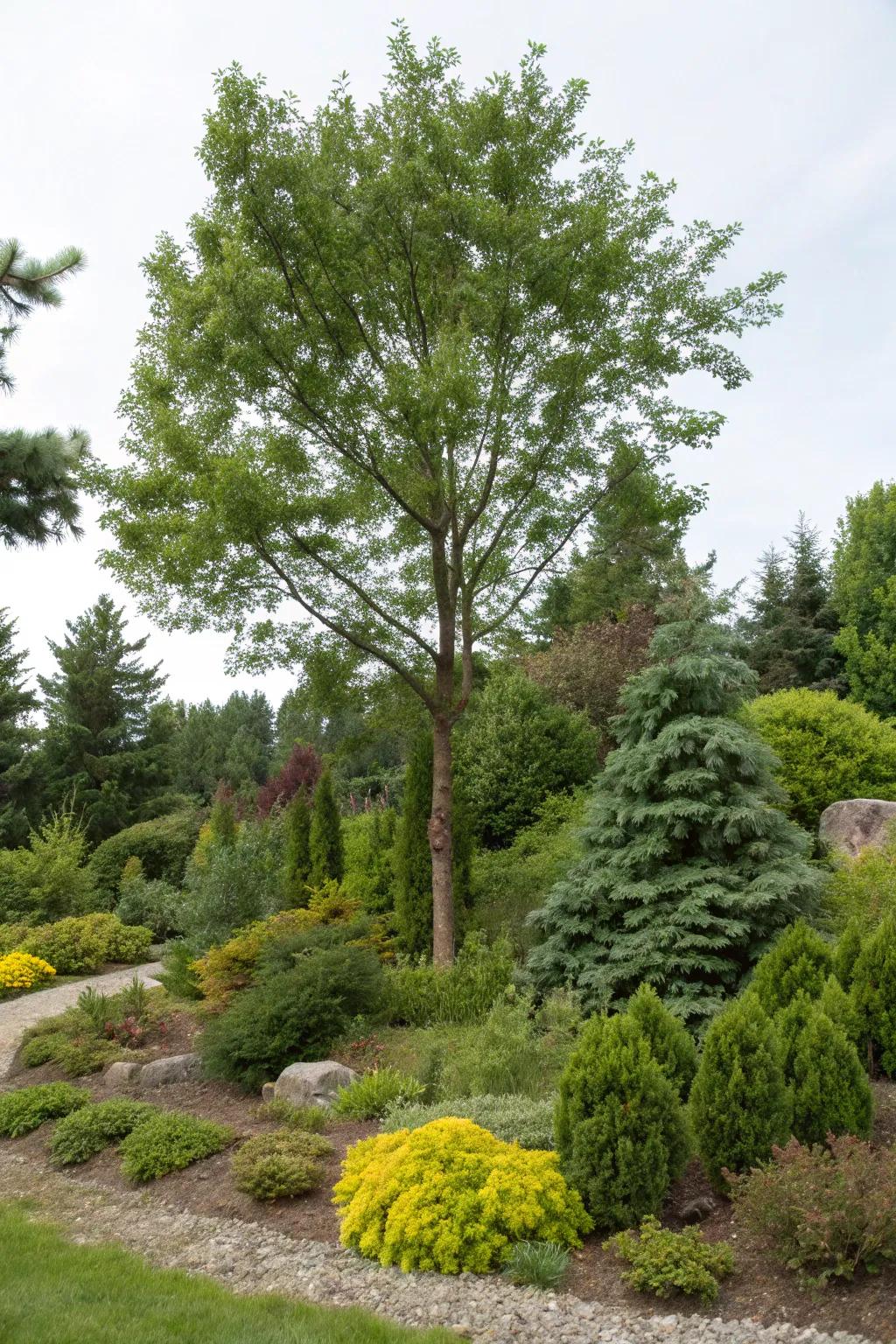 Evergreens and shrubs provide consistent greenery near trees.