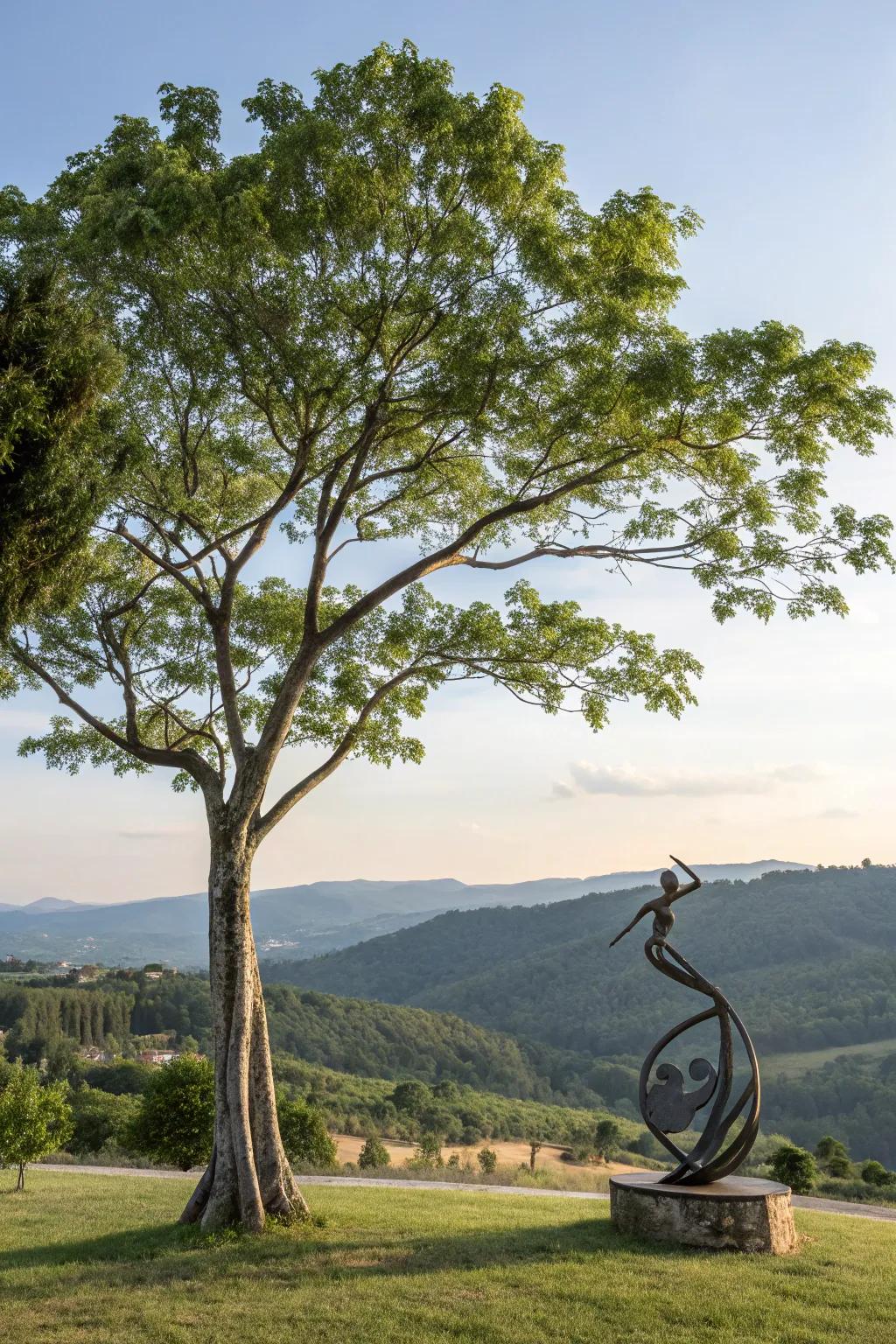 Sculptures add creative character to tree landscapes.