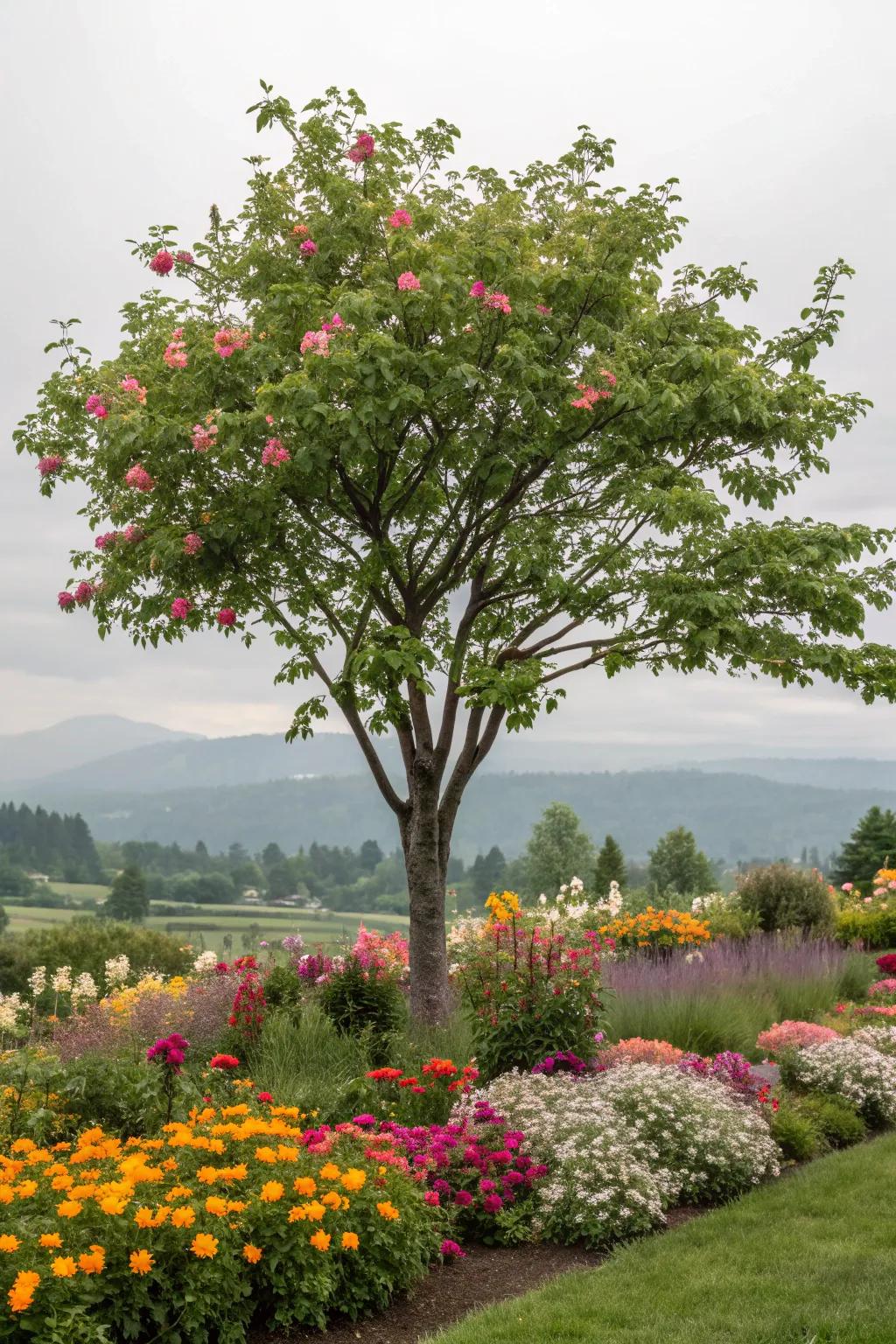 Perennials offer enduring color and low maintenance around trees.