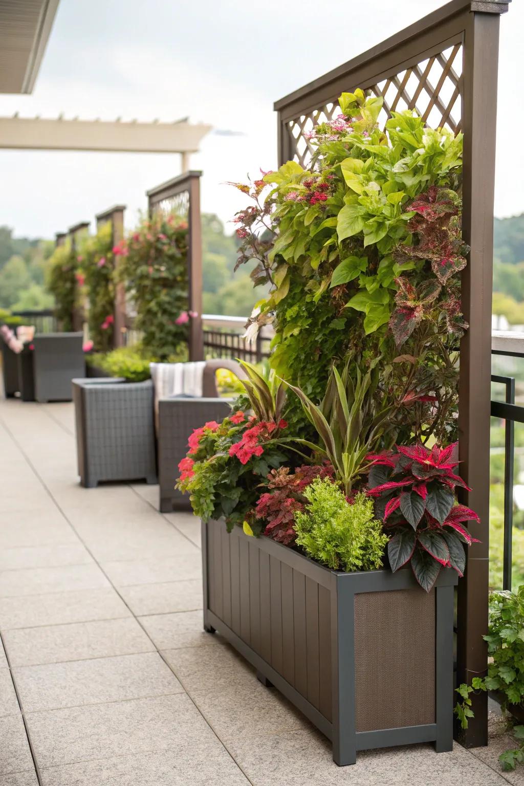 Planter vessels with dividers harmonize verdure and privacy seamlessly.