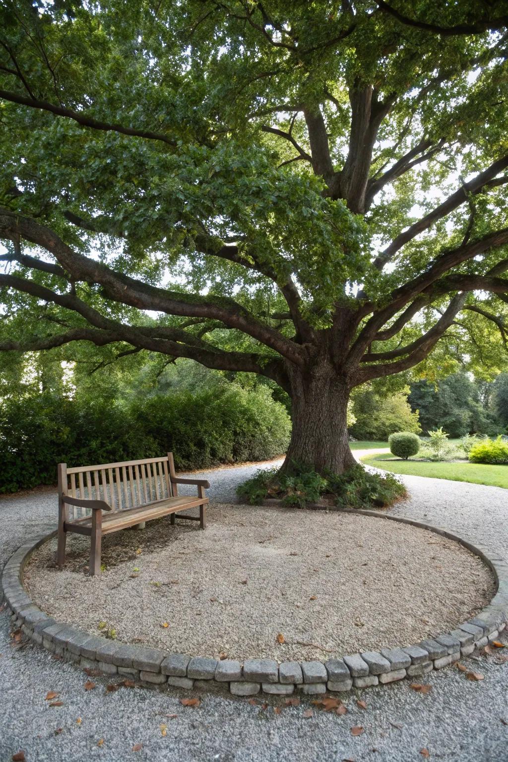 A decorative gravel border highlighting a majestic tree.
