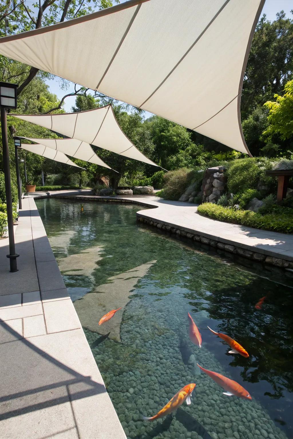 A koi pond shaded by contemporary sail shades.