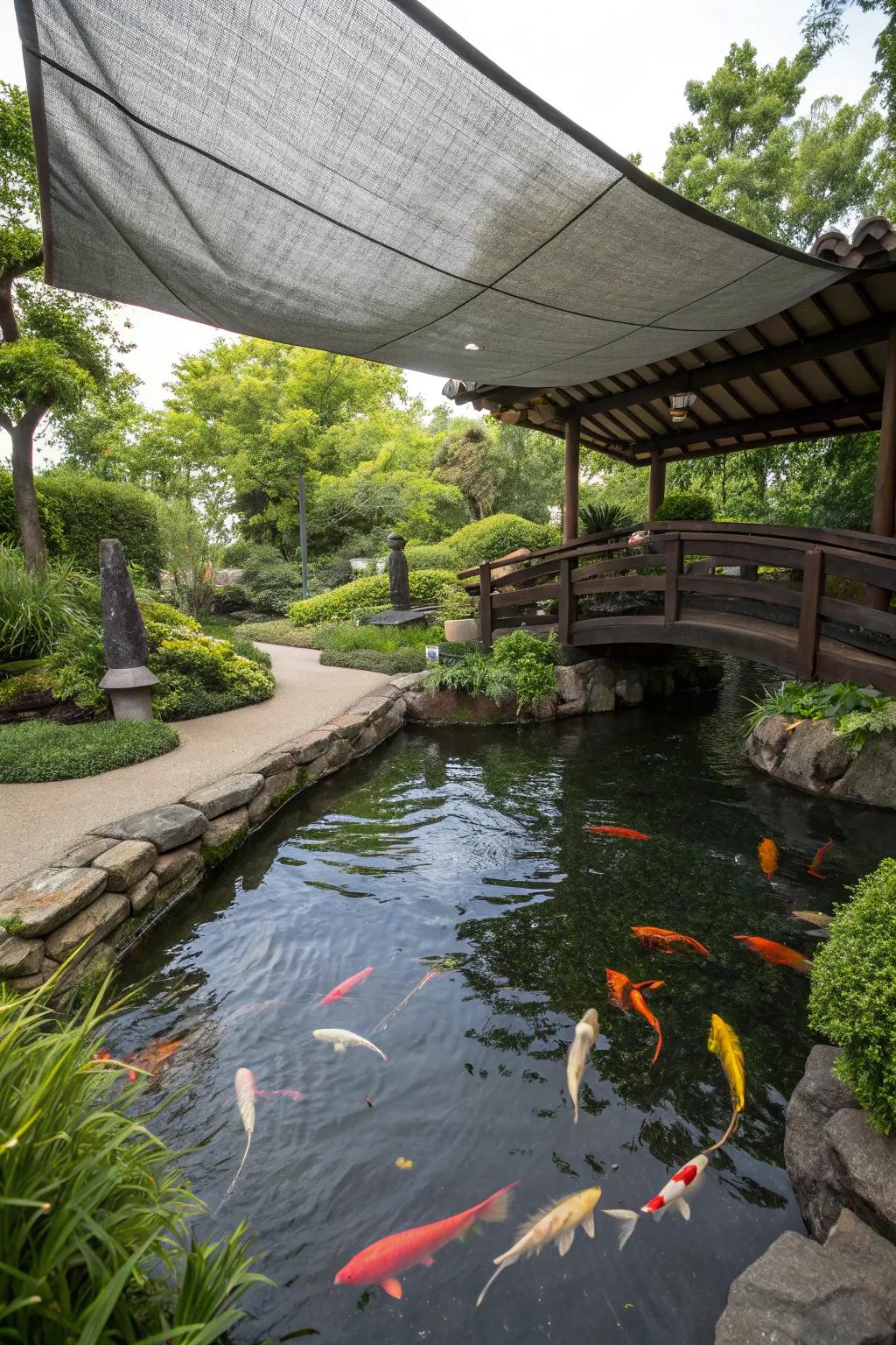 A koi pond shaded by a DIY tarp for affordable protection.